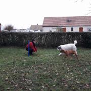 Merliche et Ganna