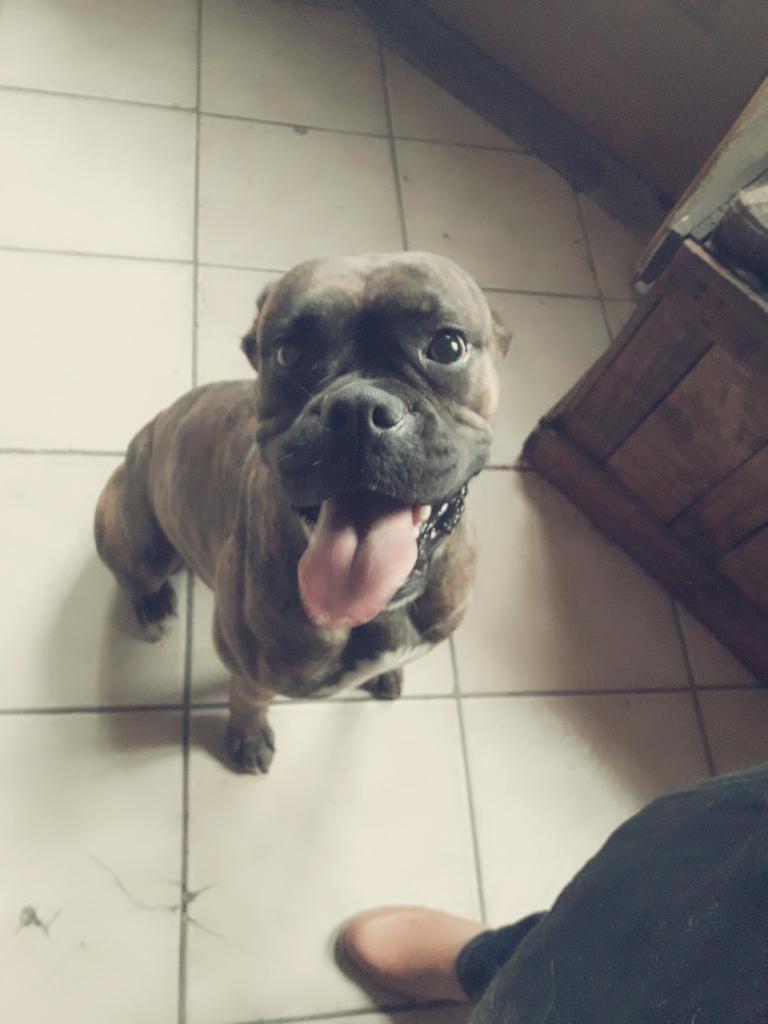 LOUNA