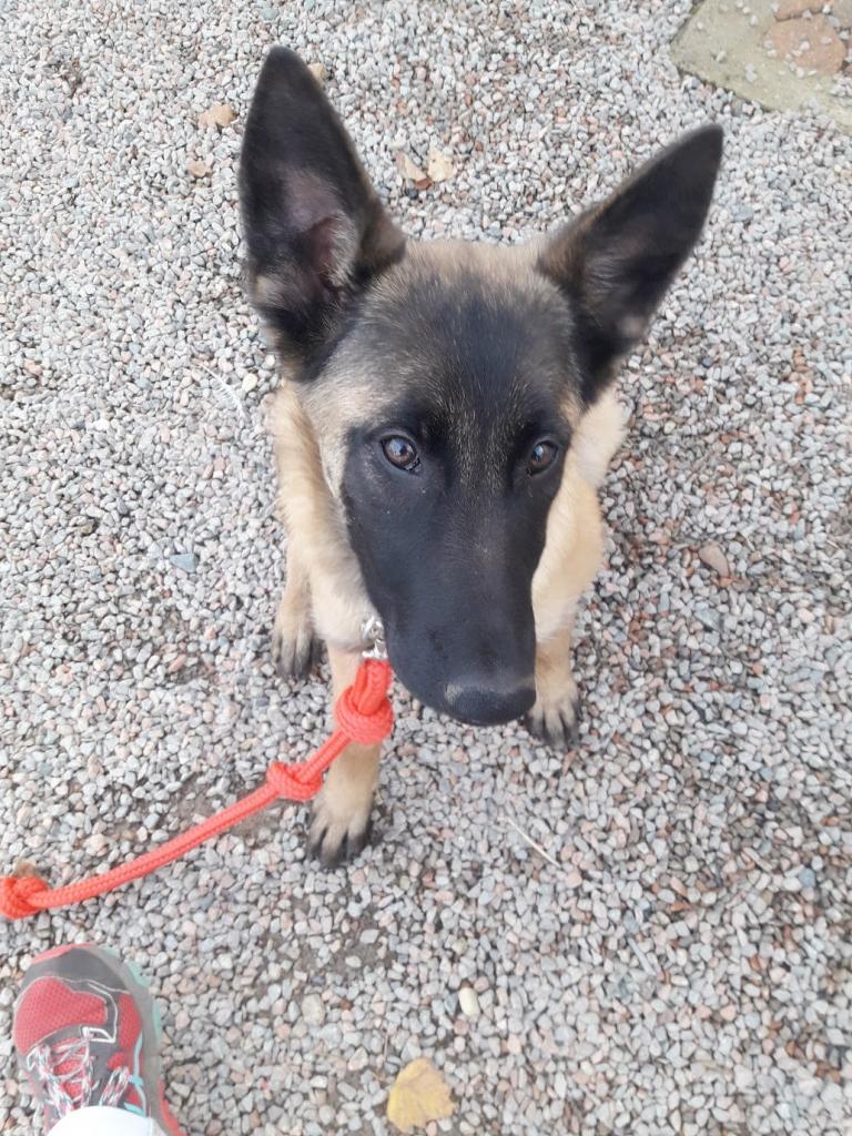 NALIA