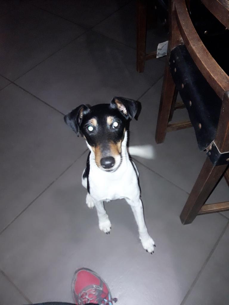 LAYA