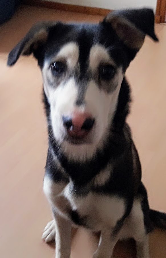 KAIA