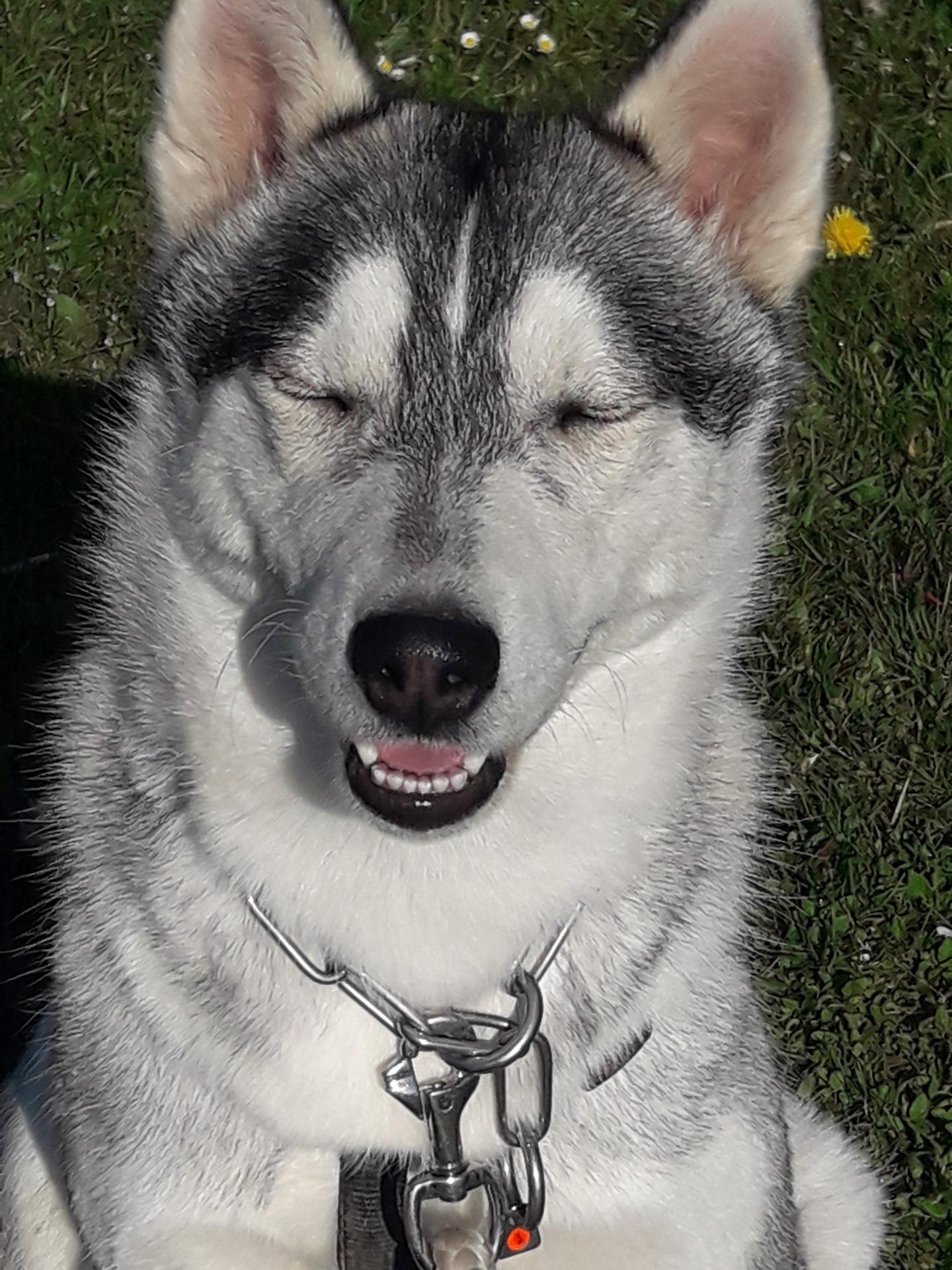 KIRA