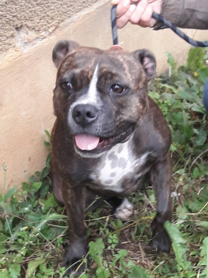 Laïa