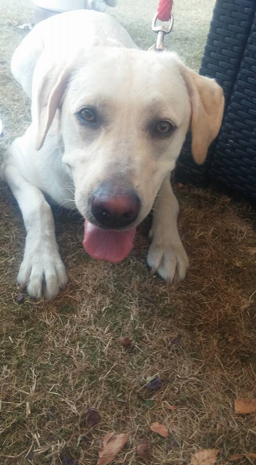 Louna