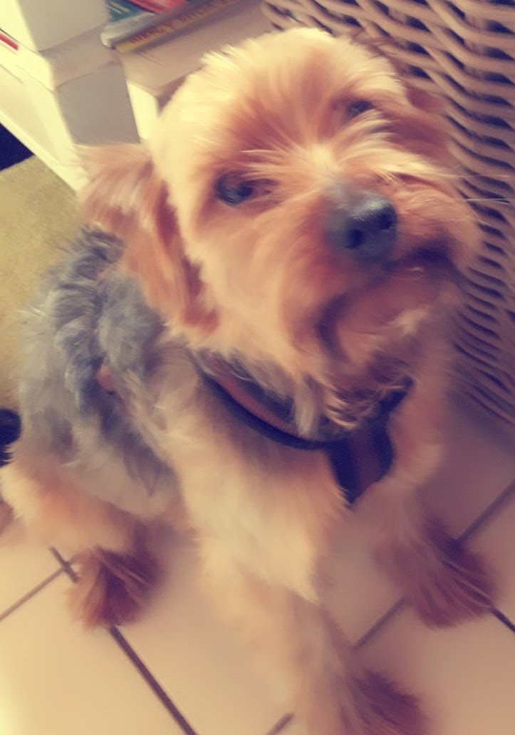 LULU