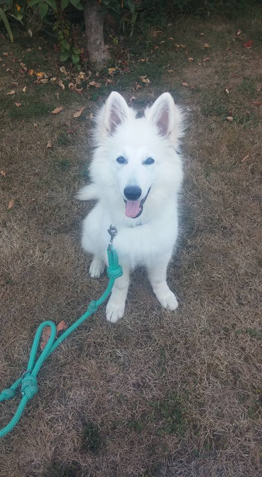Maya