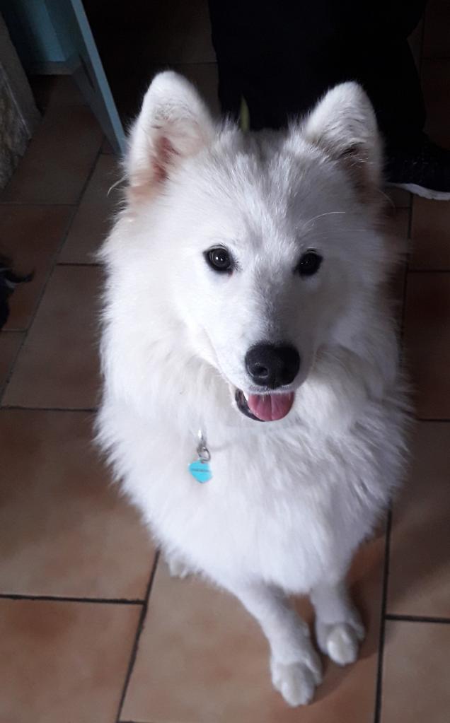 MILLY