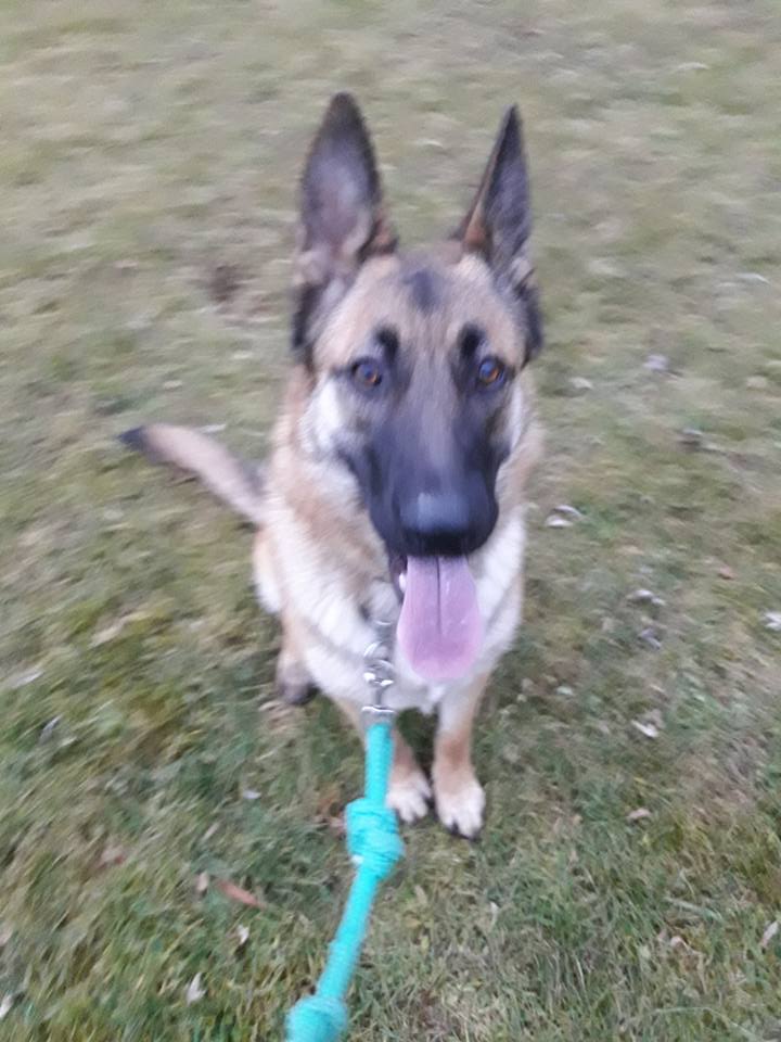 Nova
