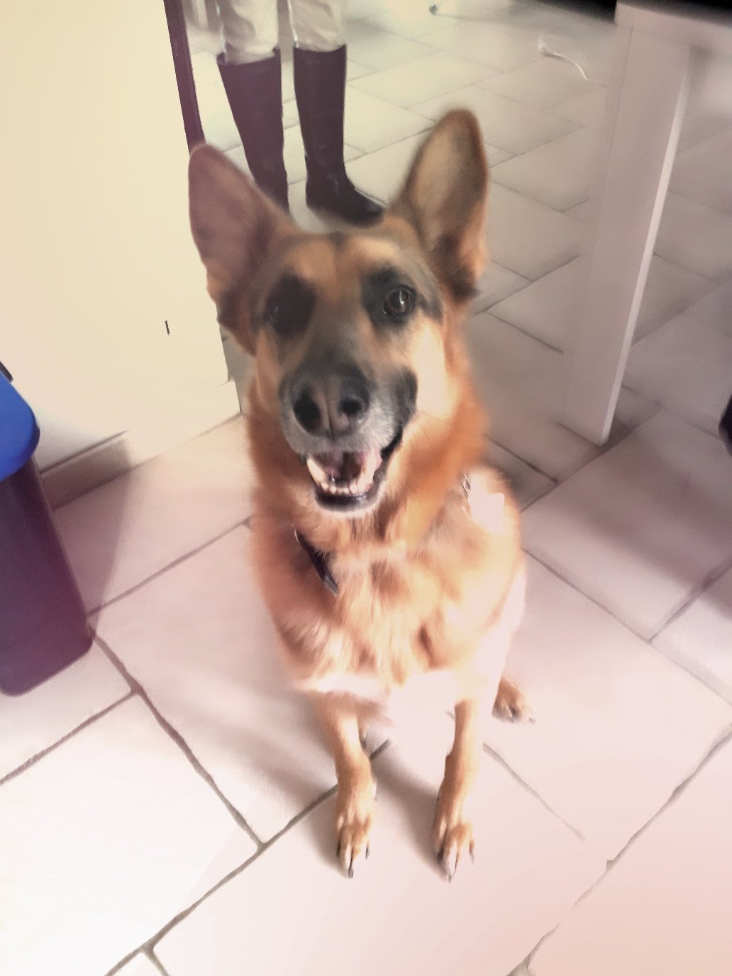 RUBEN