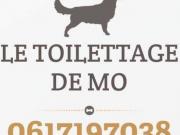 19369886 442910742732694 623985661 n 1