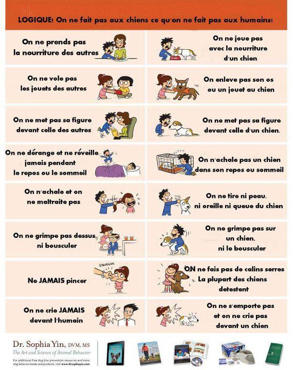Bien éduquer son enfant