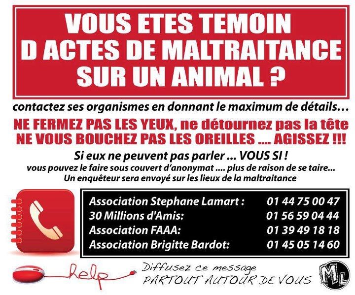 MALTRAITANCE