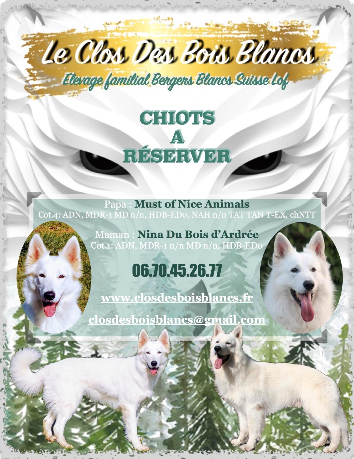 Affiche portee 2023