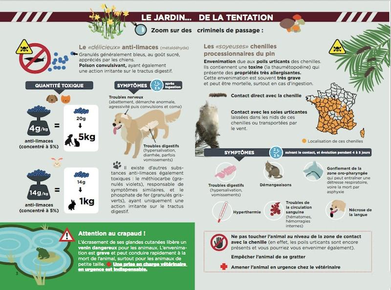 Intoxications chien chat jardin