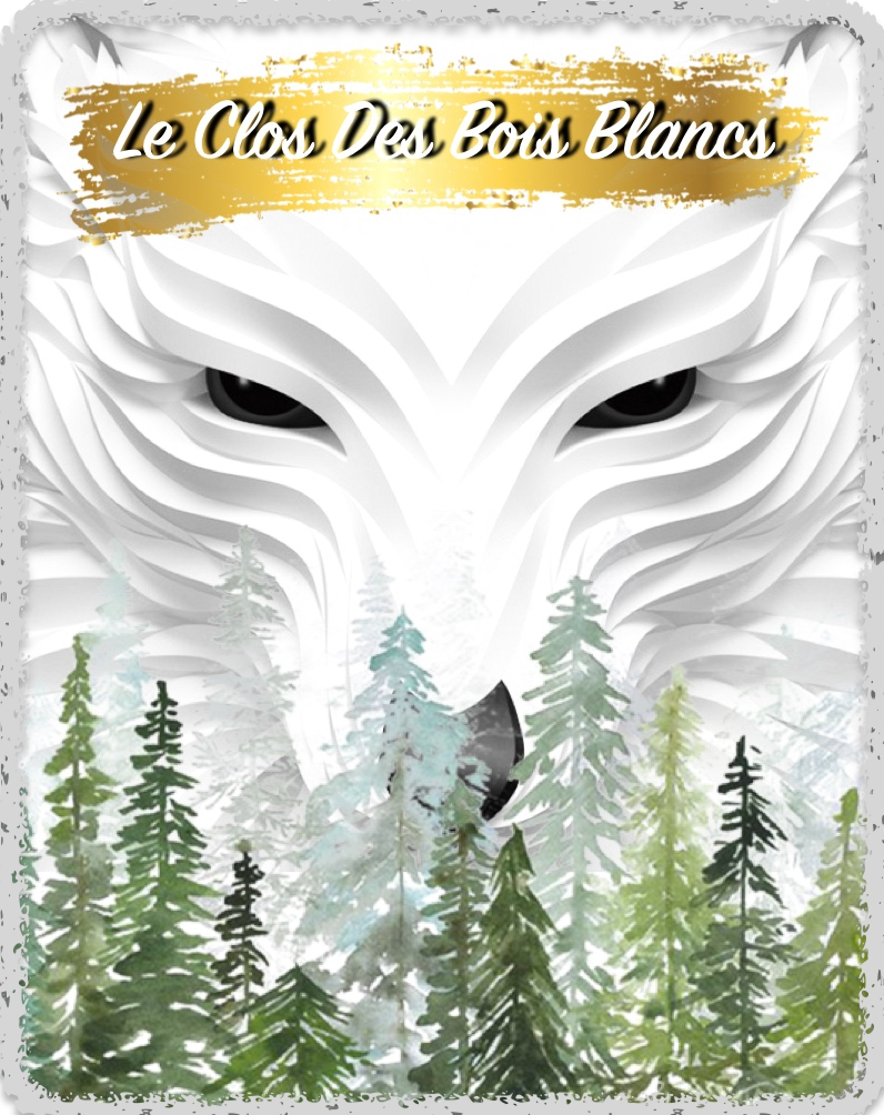 Logo le clos des bois blancs