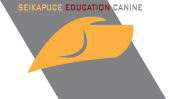Logo seikapuce