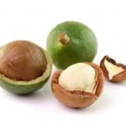 Noix de macadamia