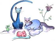 Visuel chat bleu